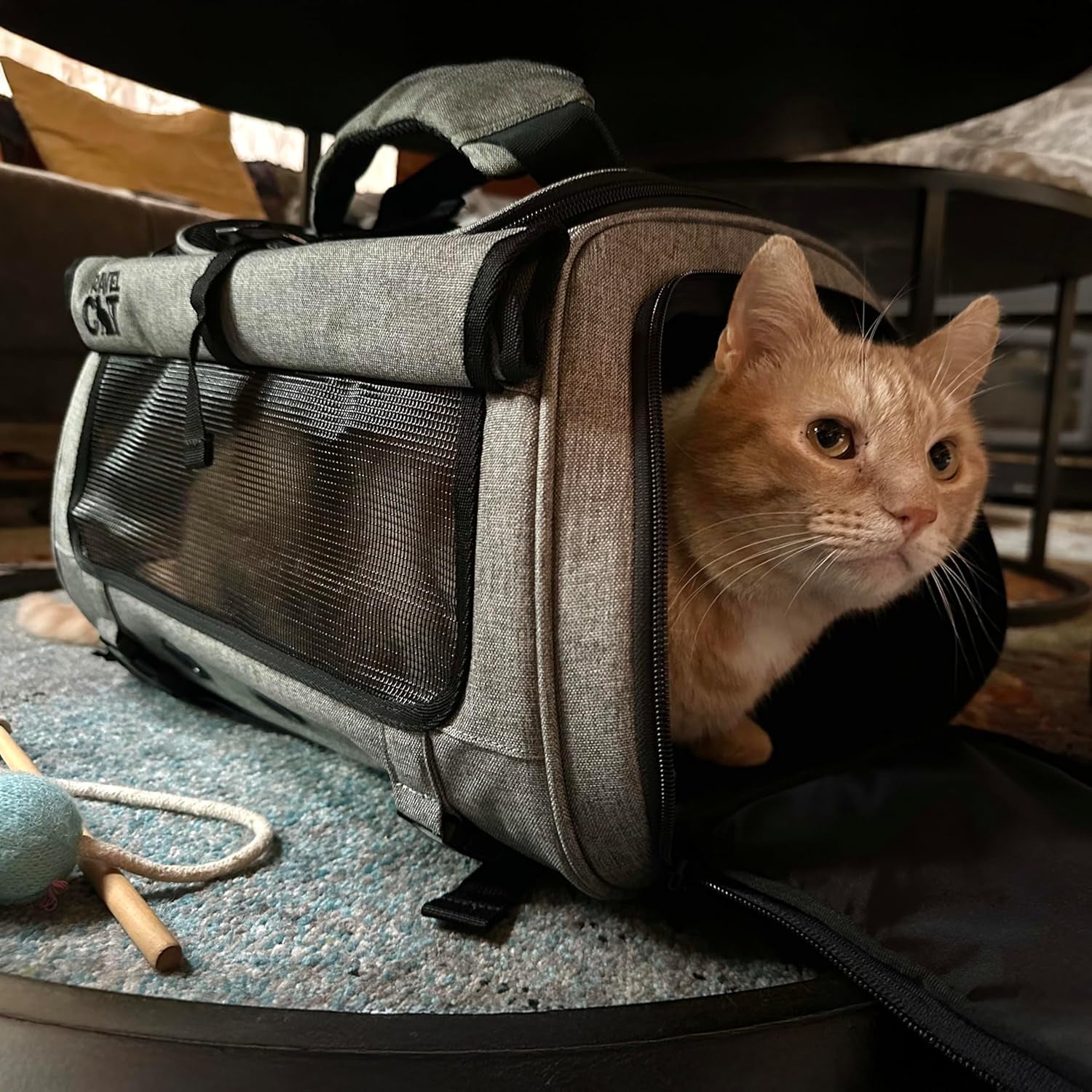 Carrier Bag - Portable Comfort Soft Sided Transpurrter Cat Carrier for Small Medium Cats Kitten up to 30 Lbs Airline Approved Backpack with Shoulder Strap (Heather Grey)