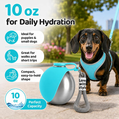 Portable Dog Water Bottle, 10 Oz Stainless Steel Pet Travel Dispenser with Silicone Foldable Bowl, Leak Proof Tumbler, Dog Walking Accessories for Hiking and Small Pets (Blue)